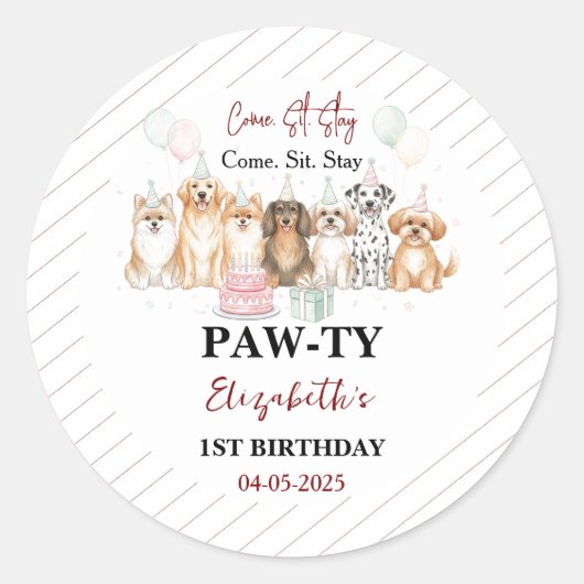 Cute Puppy Dog Boy 1st Birthday | Pawty Time First ラウンドシール (正面)