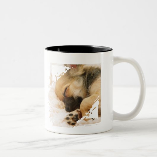 Cute Puppy Dog Halloween Custom ツートーンマグカップ (右)