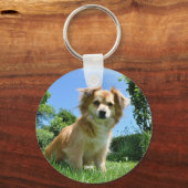 Cute Puppy in Garden Photo キーホルダー (正面)