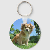 Cute Puppy in Garden Photo キーホルダー (裏面)