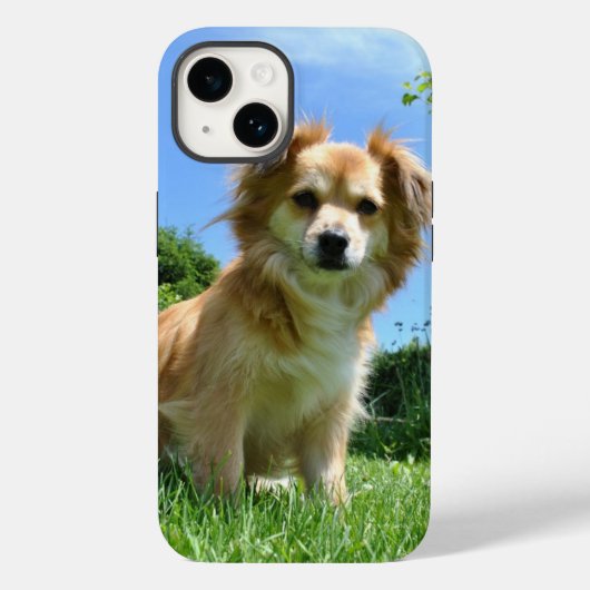 Cute Puppy in Garden Photo Case-Mate iPhoneケース (裏面)