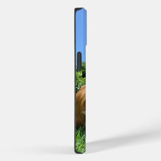 Cute Puppy in Garden Photo Case-Mate iPhoneケース (裏面 / 右)