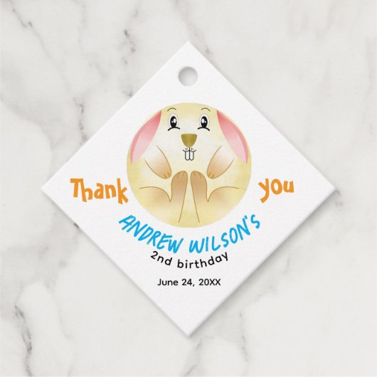 Cute Rabbit Ball Ready to Play Ball Party Animal フェイバータグ (正面)