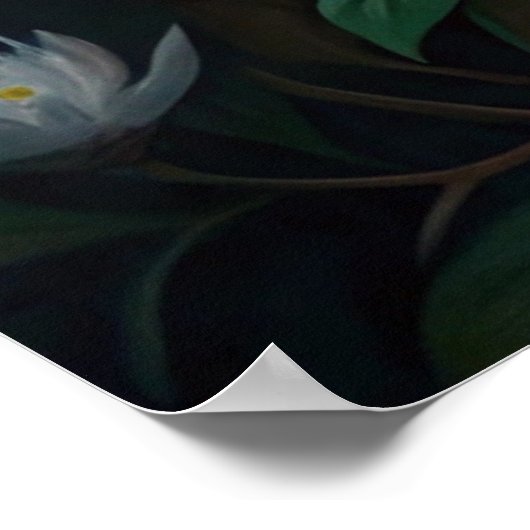 Cute Raccoon ポスター (角)