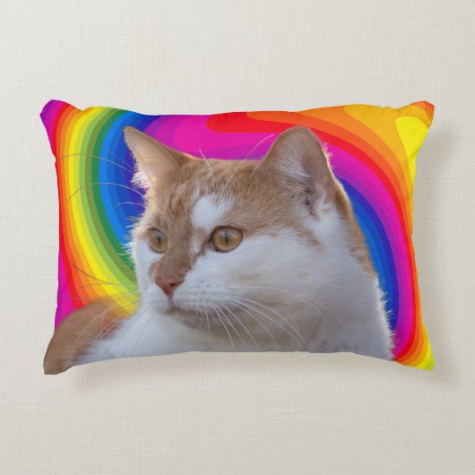 Cute Rainbow Colorful Cat Photo アクセントクッション (正面)