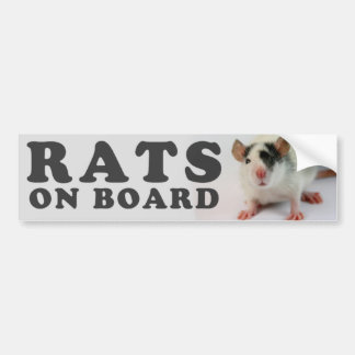(Cute) Rats on board バンパーステッカー