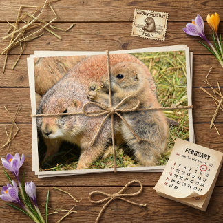 Cute Realistic Groundhog Family Photo ポストカード