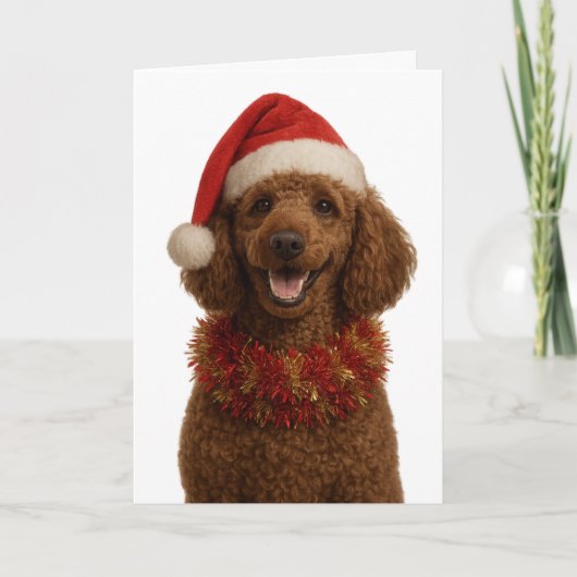 Cute red / brown Poodle Christmas card カード (正面)