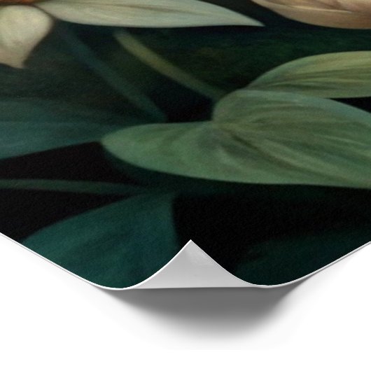 Cute Red Fox ポスター (角)