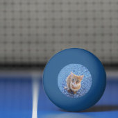 Cute red kitten 卓球ボール (ネット)