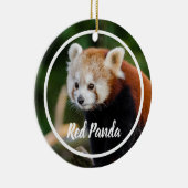 Cute Red Panda Frame セラミックオーナメント (右)