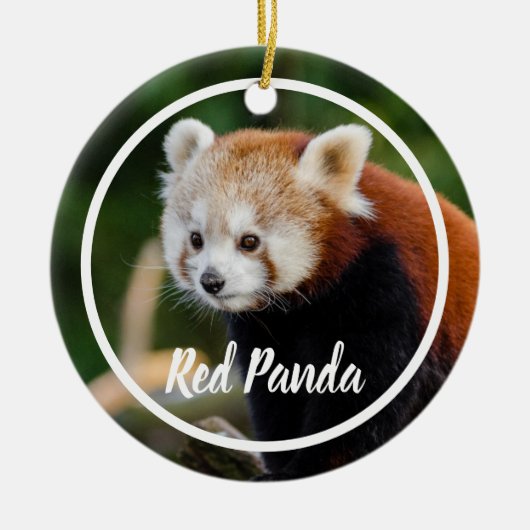 Cute Red Panda Frame セラミックオーナメント (正面)