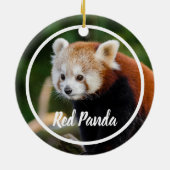 Cute Red Panda Frame セラミックオーナメント (裏面)
