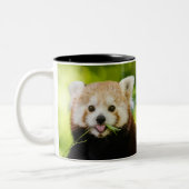 Cute Red Panda Portrait ツートーンマグカップ (左)