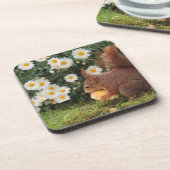 Cute Red Squirrel and Daisies コースター (左側)