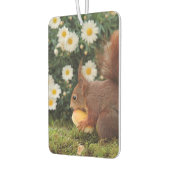 Cute Red Squirrel and Daisies Photo カーエアーフレッシュナー (左)