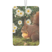 Cute Red Squirrel and Daisies Photo カーエアーフレッシュナー (裏面)