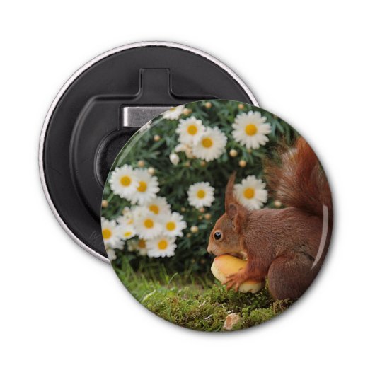 Cute Red Squirrel and Daisies Photo 栓抜き (正面)