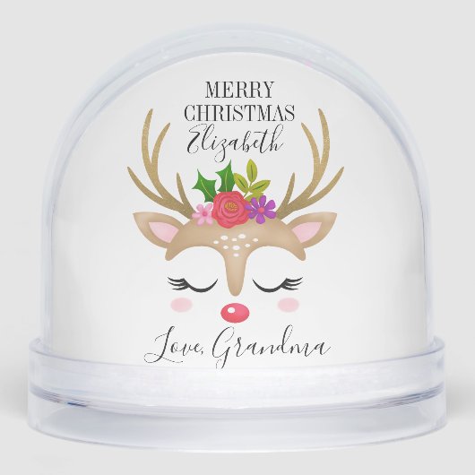 Cute Reindeer Face Photo (正面)