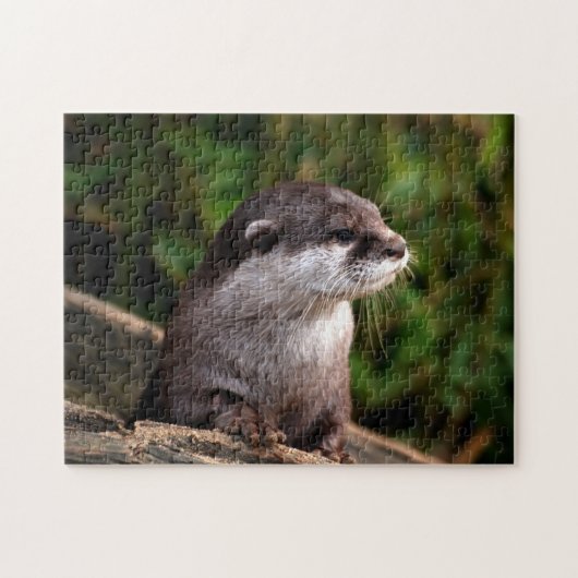 Cute River Otter, Jigsaw Puzzle ジグソーパズル (横)