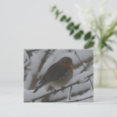 Cute Robin Close Up in Snow DIY Postcard シーズンポストカード (スタンド正面)