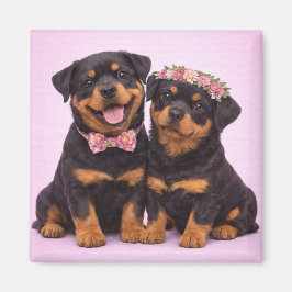 Cute Rottweiler Couple Valentine Illustration マグネット