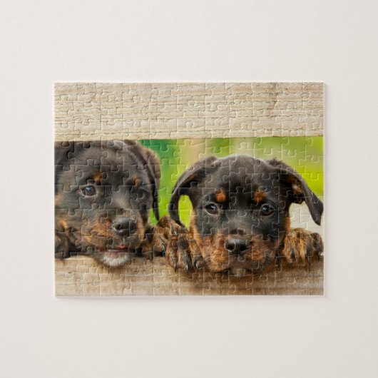 Cute Rottweiler Puppies Dog Animal Nature ジグソーパズル (横)