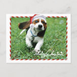 Cute Santa Dog Merry Christmas Holiday Postcard シーズンポストカード<br><div class="desc">Cute Santa Dog Merry Christmas Holiday Postcard,  great for a party invite too. 
 Looks like he just can't wait to wish you a very Merry Christmas!  


com</div>