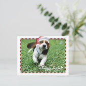 Cute Santa Dog Merry Christmas Holiday Postcard シーズンポストカード (スタンド正面)