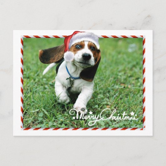 Cute Santa Dog Merry Christmas Holiday Postcard シーズンポストカード (正面)