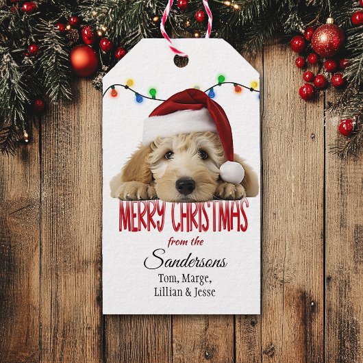 Cute Santa Goldendoodle Christmas ギフトタグ