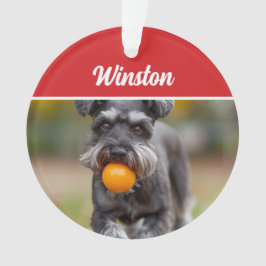 Cute Schnauzer Dog Holiday Christmas Photo オーナメント