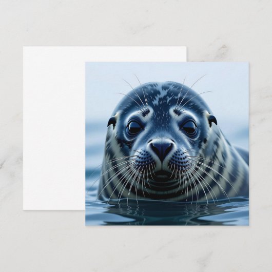 Cute Seal Close up (正面/裏面)
