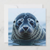 Cute Seal Close up (正面)
