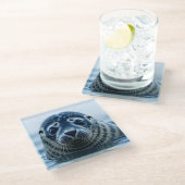 Cute Seal Close up ガラスコースター (アングル)