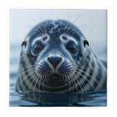 Cute Seal Close up タイル (正面)