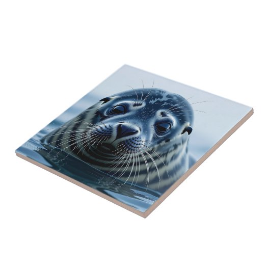 Cute Seal Close up タイル (側面)