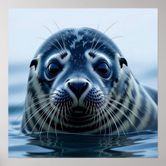 Cute Seal Close up ポスター (正面)