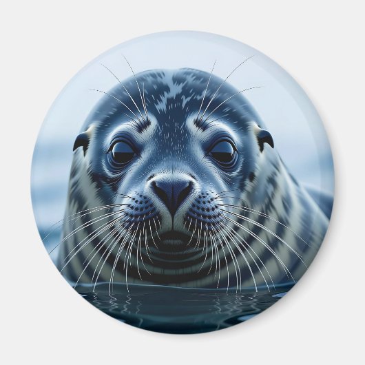 Cute Seal Close up マグネット (正面)