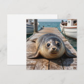 Cute Seal Laying on Boat Dock Ocean Pier (正面/裏面)