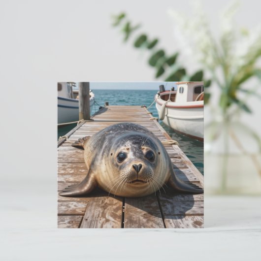 Cute Seal Laying on Boat Dock Ocean Pier (スタンド正面)