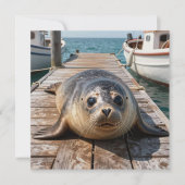 Cute Seal Laying on Boat Dock Ocean Pier (正面)