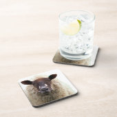 CUTE SHEEP コースター (右側)