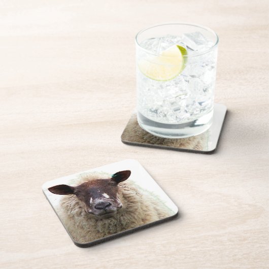 CUTE SHEEP コースター (右側)