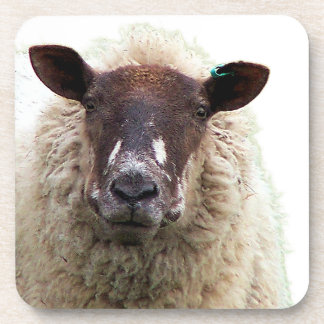 CUTE SHEEP コースター