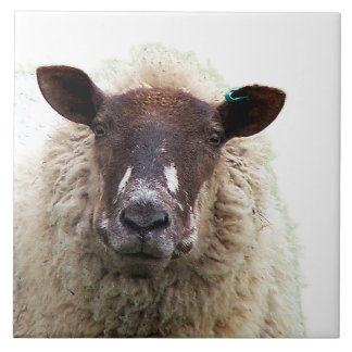 CUTE SHEEP タイル