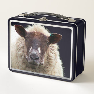 CUTE SHEEP メタルランチボックス