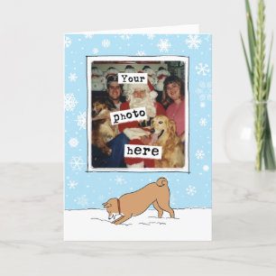 Cute Shiba Inu Winter Snow あなたの写真付きクリスマス シーズンカード