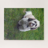 Cute Shih Tzu Fluffy Dog Picture Photo ジグソーパズル (横)