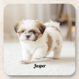 Cute Shih Tzu Personalized Beverage Coaster Set コースター